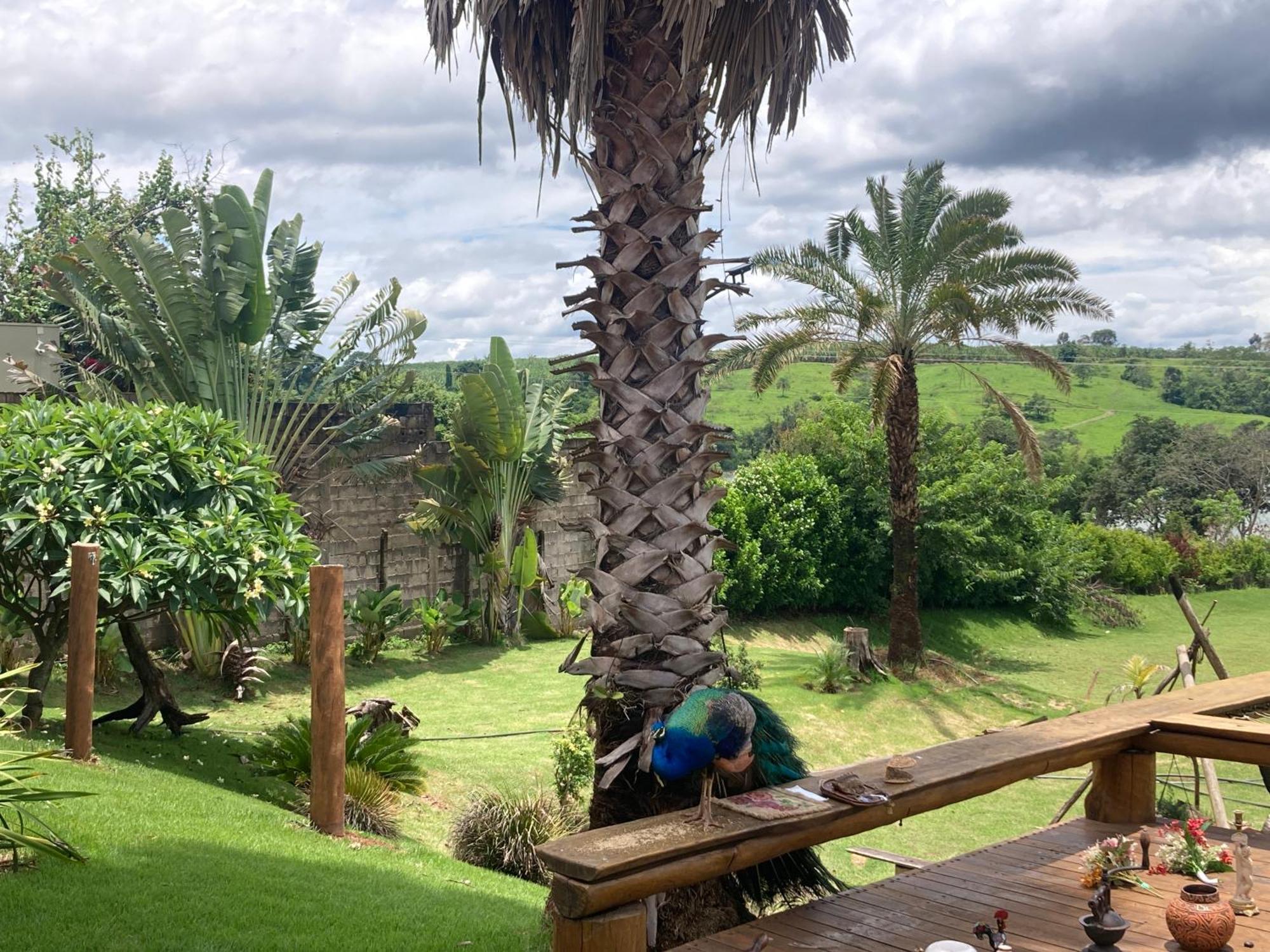 Rancho Recanto Da Serra * Delfinopolis